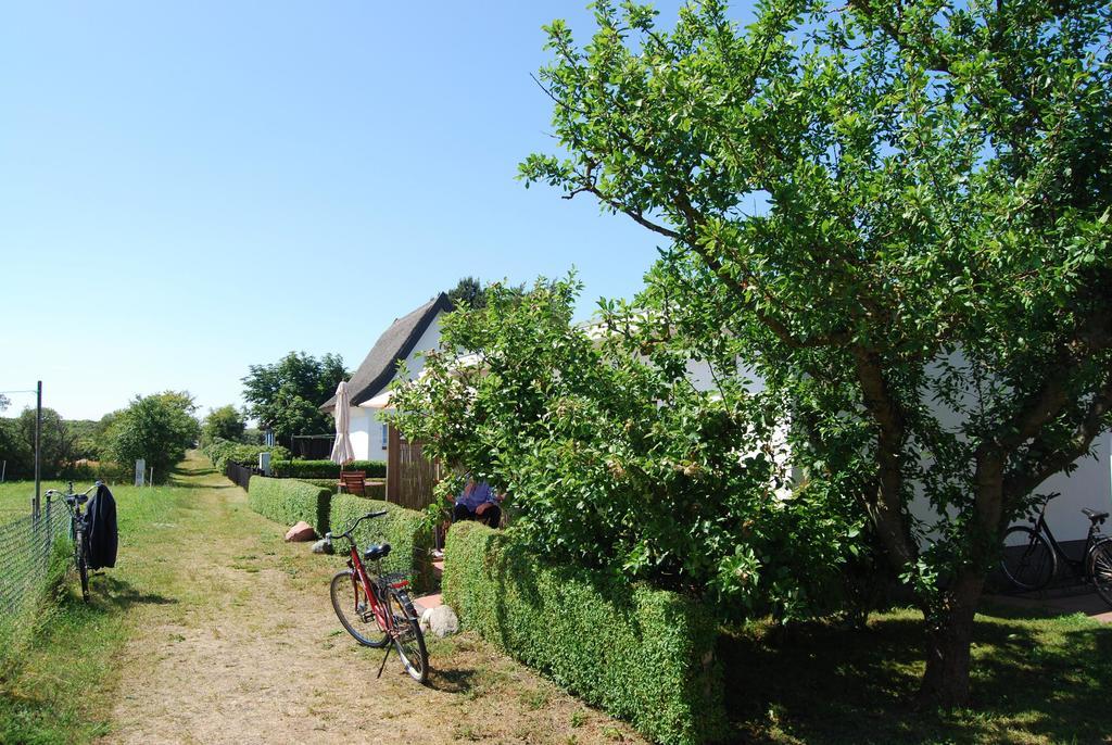 Ferienwohnung Hiddensee In Vitte Esterno foto